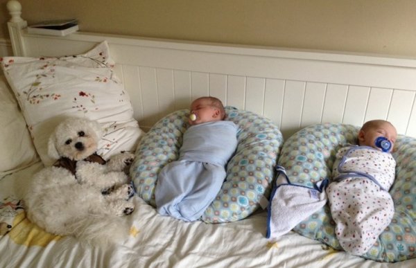 Newborn_twins-and-dog8